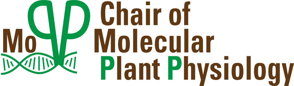 Chair of Molecular Plant Physiology