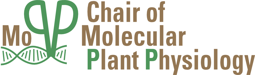 Chair of Molecular Plant Physiology